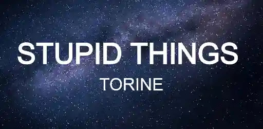 Stupid Things Lyrics - Torine