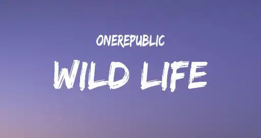 Wild Life Song Lyrics2B