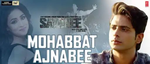 Mohabbat Ajnabee Song Lyrics