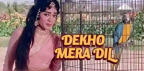 Dekho Mera Dil Machal Gaya Song Lyrics