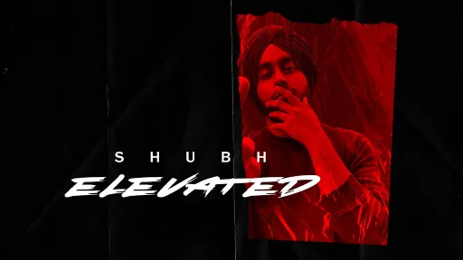 Elevated Lyrics | Shubh