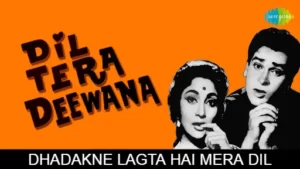 Dhadakne Lagta Hai Mera Dil Lyrics - Dil Tera Deewana