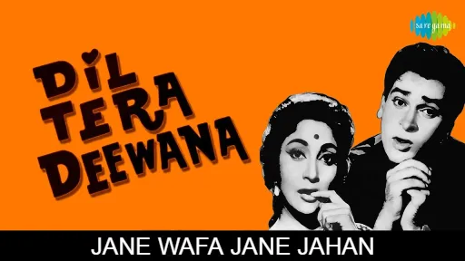 Jane Wafa Jane Jahan Lyrics - Dil Tera Deewana