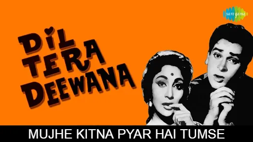 Mujhe Kitna Pyar Hai Tumse Lyrics - Dil Tera Deewana