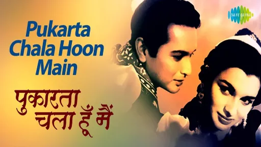 Pukarta Chala Hoon Main Lyrics - Mere Sanam