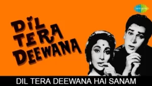 Dil Tera Deewana Hai Sanam Lyrics - Dil Tera Deewana