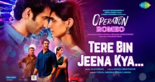 Tere Bin Jeena Kya Lyrics - Operation Romeo