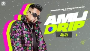 Amli Drip Lyrics - A Kay