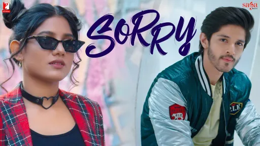 Sorry Lyrics - Raman Romana