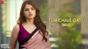 Tum Chale Gaye Lyrics - Marudhar Express