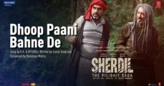 Dhoop Paani Bahne De Lyrics - Sherdil