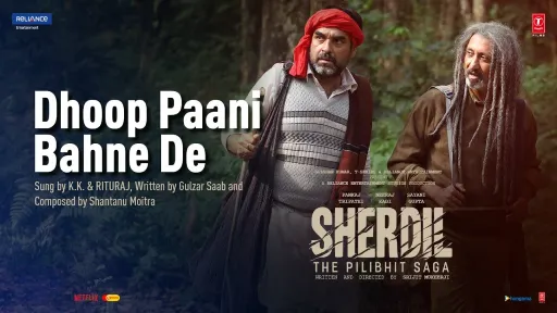 Dhoop Paani Bahne De Lyrics - Sherdil