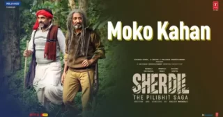 Moko Kahan Lyrics - Sherdil