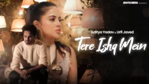 Tere Ishq Mein Lyrics - Aditya Yadav