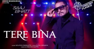 Tere Bina Lyrics - Saaj Bhatt