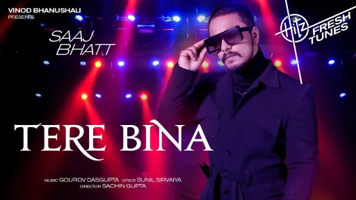 Tere Bina Lyrics - Saaj Bhatt