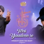Terri Yaadonn Se Lyrics - Salman Ali