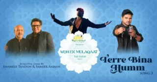 Terre Bina Humm Lyrics - Salman Ali