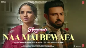 Naa Mai Bewafa Lyrics - Tanvir Hussain